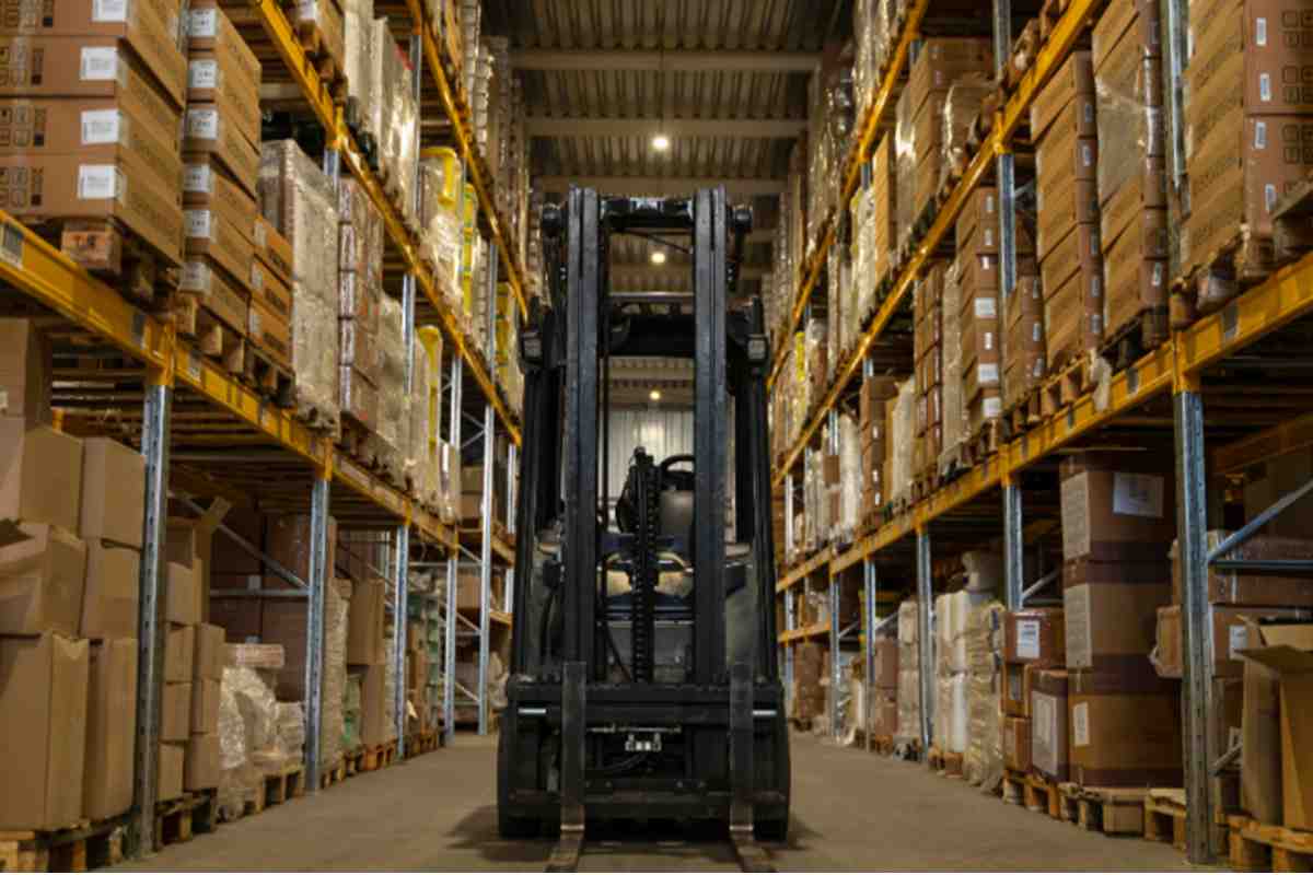 Budget-Friendly Storage Solutions for Growing Companies