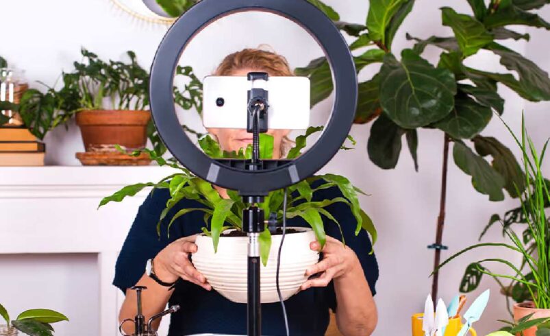 The Rise of Creator Economy Business Models