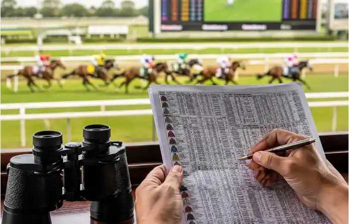 what is a horse racing bulletin_